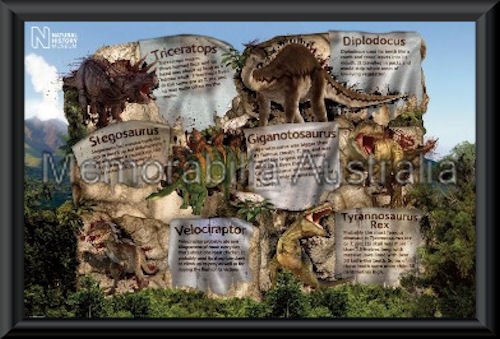 Dinosaur Facts Poster Framed :: Kids :: Posters & Prints :: Memorabilia ...