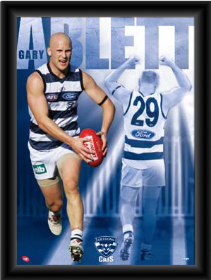 Geelong AFL The Premiership Years OFFICIAL Montage Print Framed Gary Ablett $249
