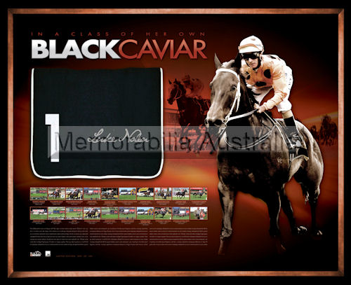 Black Caviar replica framed Saddlecloth