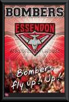 Essendon Bombers Logo poster 