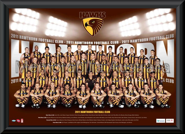 Hawthorn 2011 Framed Team Poster