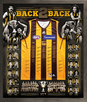 Hawthorn 25th Anniversary 1988/89 Back to Back Premiership jersey