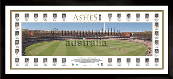 Official Ashes Panoramic