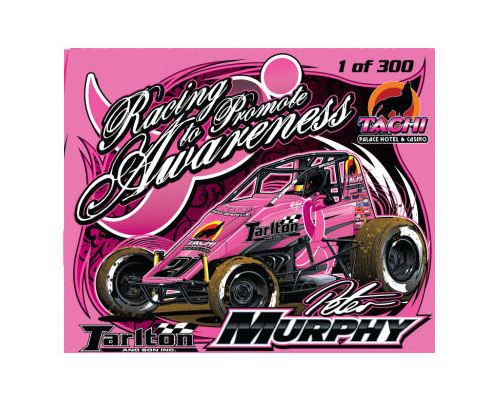 1:64 Sprint Car Peter Murphy Breast Cancer Awareness