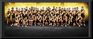 2014 Richmond Tigers team frame