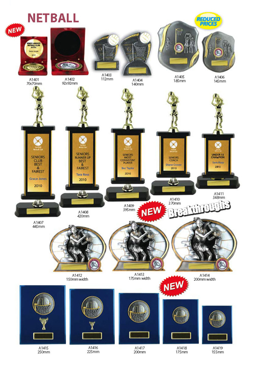 Netball Trophies 9