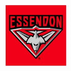Essendon Bombers Face Washer