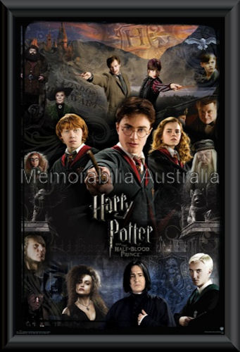 Harry Potter Half Blood Prince Poster Framed