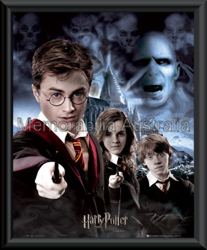 Harry Potter Mini Poster Framed