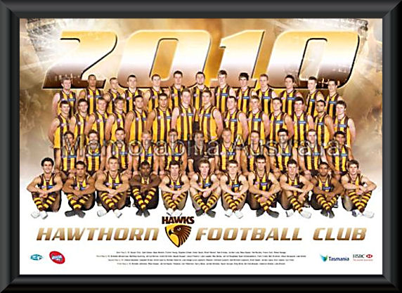 Hawthorn Hawks 2010 AFL Team Frame