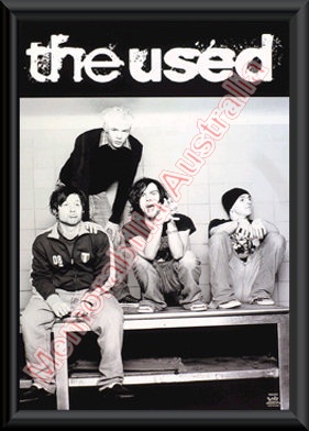 The Used Framed Poster