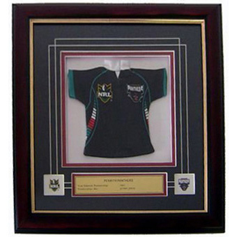 Panthers Framed Mini Jersey