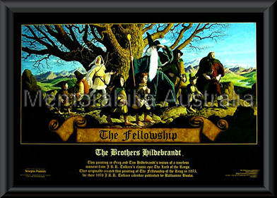 The Fellowship Poster Framed