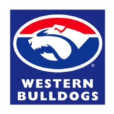 Western Bulldogs Face Washer