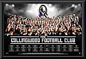 Collingwood Magpies 2016 Team Poster Framed