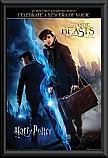 Wizarding World-Harry Potter and Fantastic Beasts Framed Poster