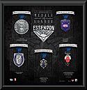 Essendon Bombers Medals of Honour Framed