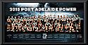 2015 Port Adelaide Power team frame