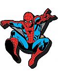 Spiderman Magnet
