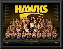 Hawthorn Hawks 2017 Team Poster Framed