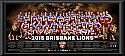 2015 Brisbane Lions team frame