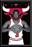 Chicago Bulls Dwyane Wade framed poster