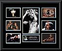 Tupac Montage framed