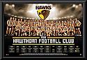 Hawthorn Hawks 2016 Team Poster Framed