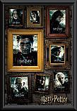 Harry Potter Portraits Framed Poster