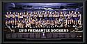 2015 Fremantle Dockers team frame