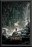 The Hobbit Desolation of Smaug framed poster