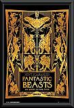 Fantastic Beasts 2 Book Cover Framed Poster