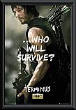 The Walking Dead Daryl Survive Poster Framed