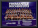 2013 Fremantle Dockers team frame