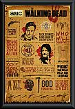 The Walking Dead Infographic Framed Poster