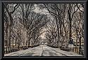 Poets Walk Central Park framed