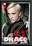 Draco Malfoy Framed Poster