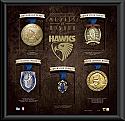 Hawthorn Hawks Medals of Honour Framed