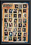 Harry Potter Characters Framed Poster