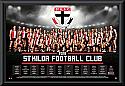 St Kilda Saints 2016 Team Poster Framed