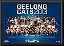 2013 Geelong Cats team frame 