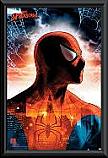 Spiderman - Protector of the City Poster Framed 