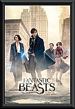 Fantastic Beasts Street Framed Poster