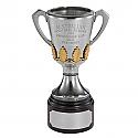 2014 Hawthorn Hawks AFL Replica Pewter Premiership Cup 