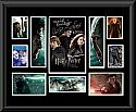 Harry Potter and the Deathly Hallows Montage