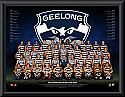 Geelong Cats 2017 Team Poster Framed