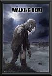 The Walking Dead Zombie Framed Poster