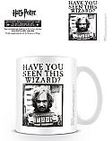 Harry Potter Have You Seen This Wizard Mug